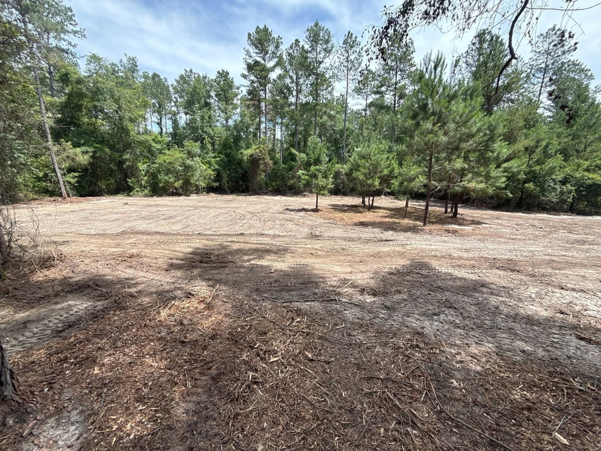 Cleared land with pine trees in background after JATM forestry mulching